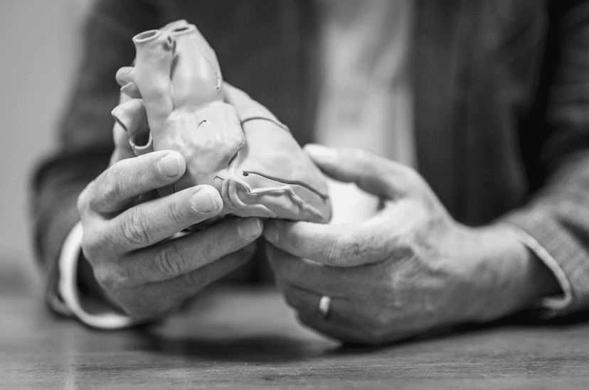 Doron et maquette d'un coeur